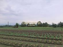 CC580員山33米寬農地