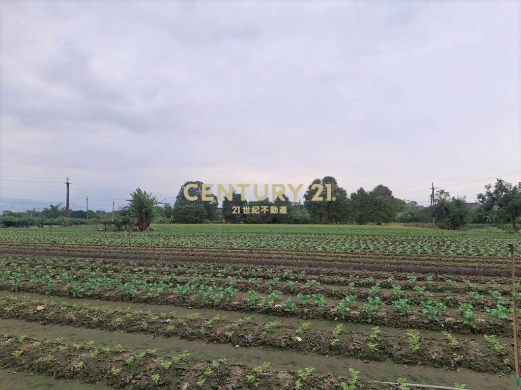 CC580員山33米寬農地