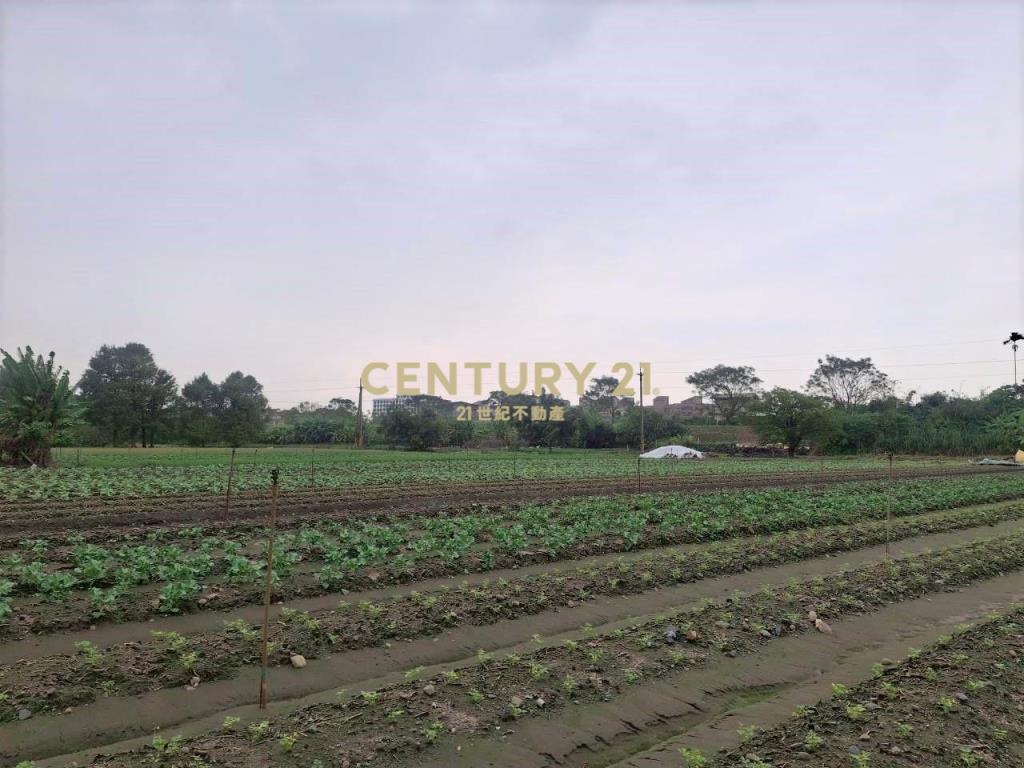 CC580員山33米寬農地