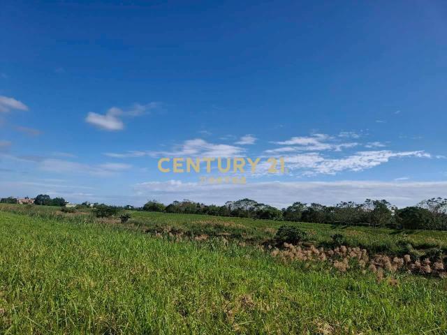 CC582員山國中小而美都內農地