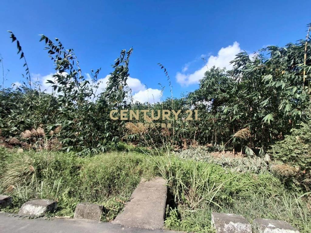 CC582員山國中小而美都內農地