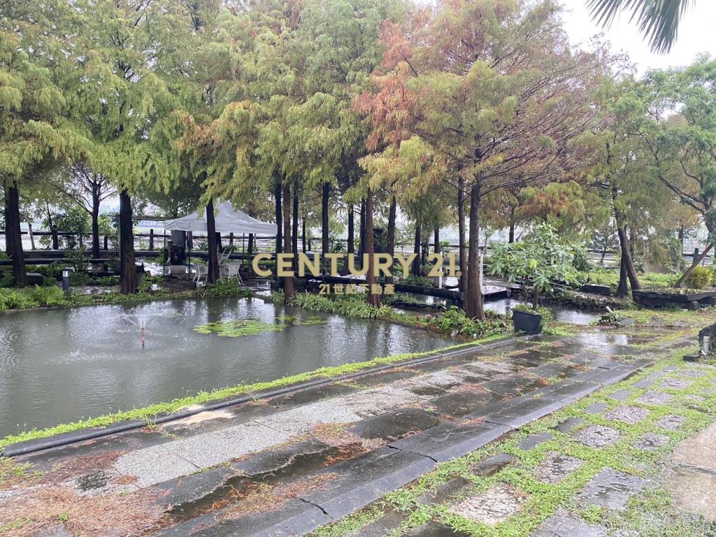 CE140峇厘島風雙面路電梯民宿