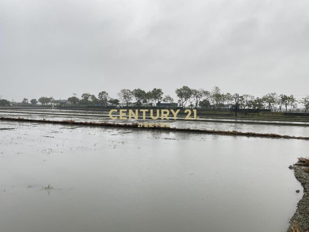 CE140峇厘島風雙面路電梯民宿