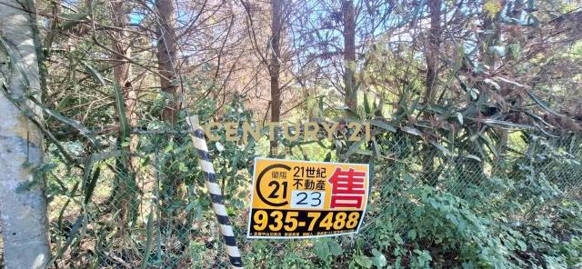 CC591員山休閒農業區農地