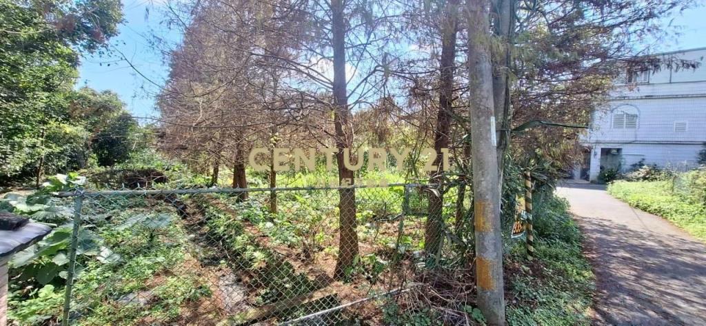 CC591員山休閒農業區農地