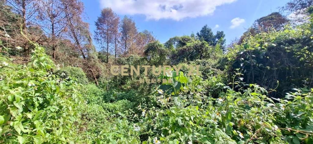 CC591員山休閒農業區農地