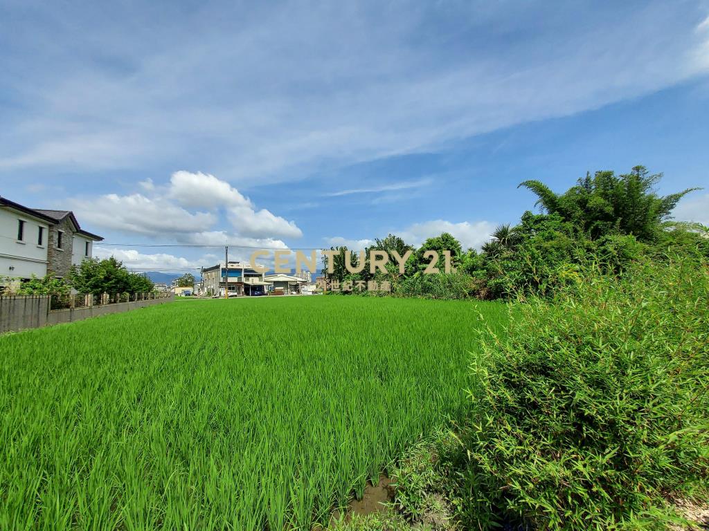 CB310宜市DIY大地坪透天