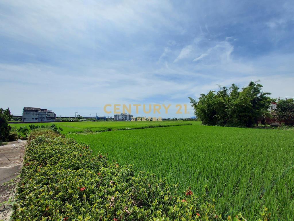 CB310宜市DIY大地坪透天