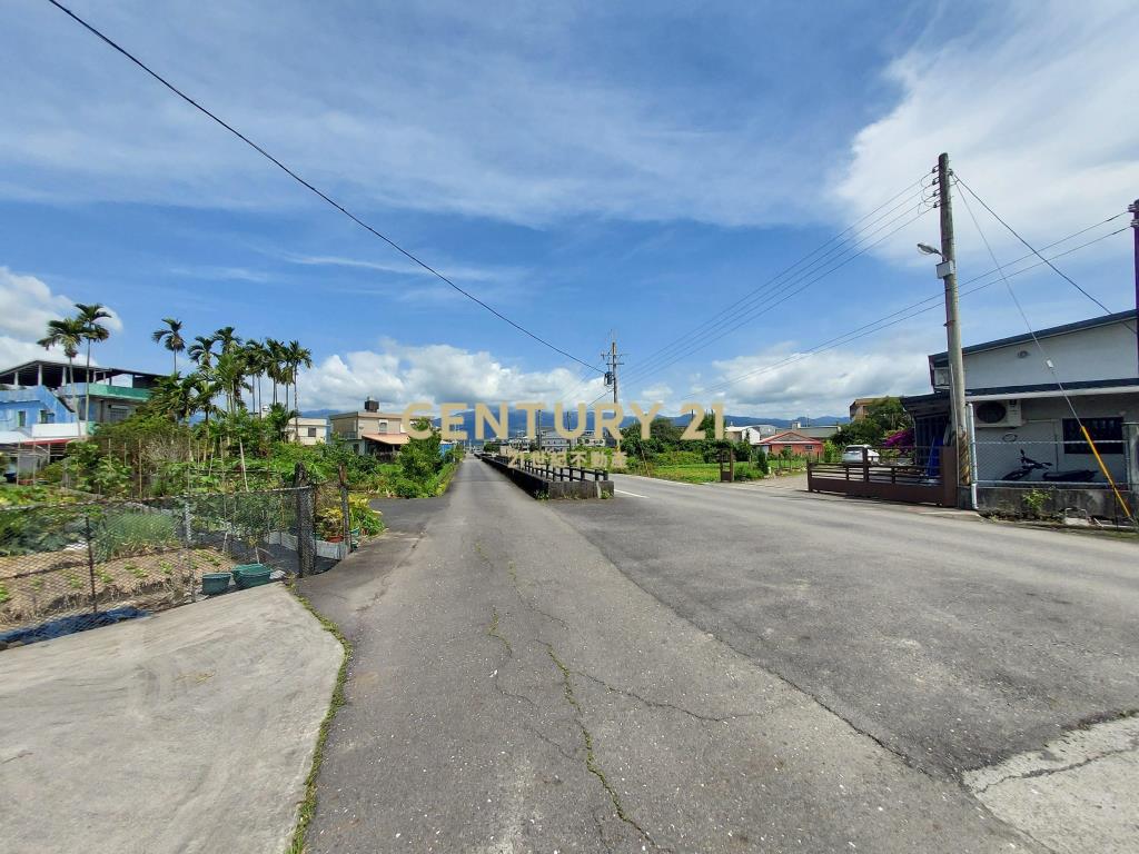 CB310宜市DIY大地坪透天