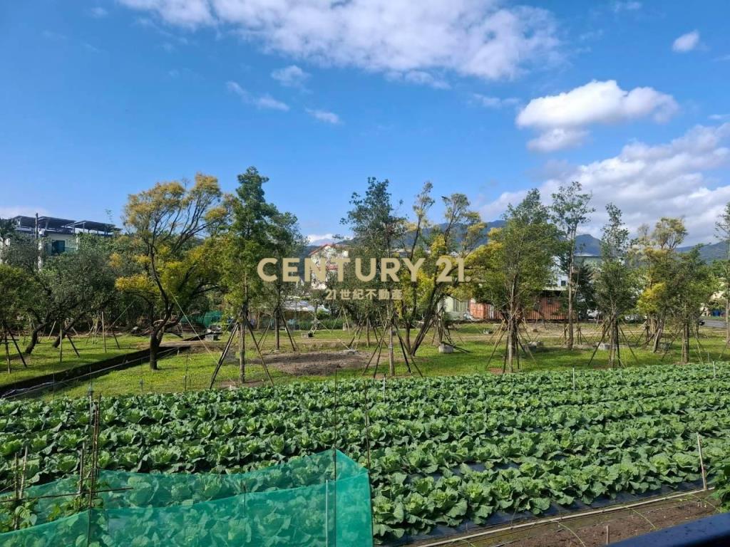 CB311員山用華廈價格買透天