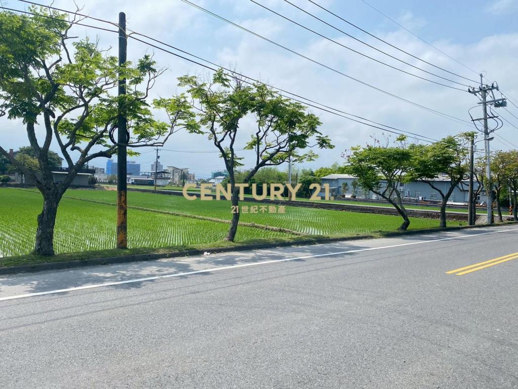 CD165國五超大面寬農建地