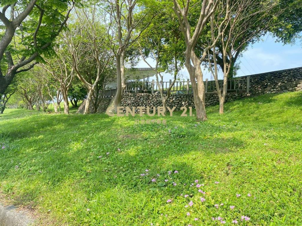 CD165國五超大面寬農建地