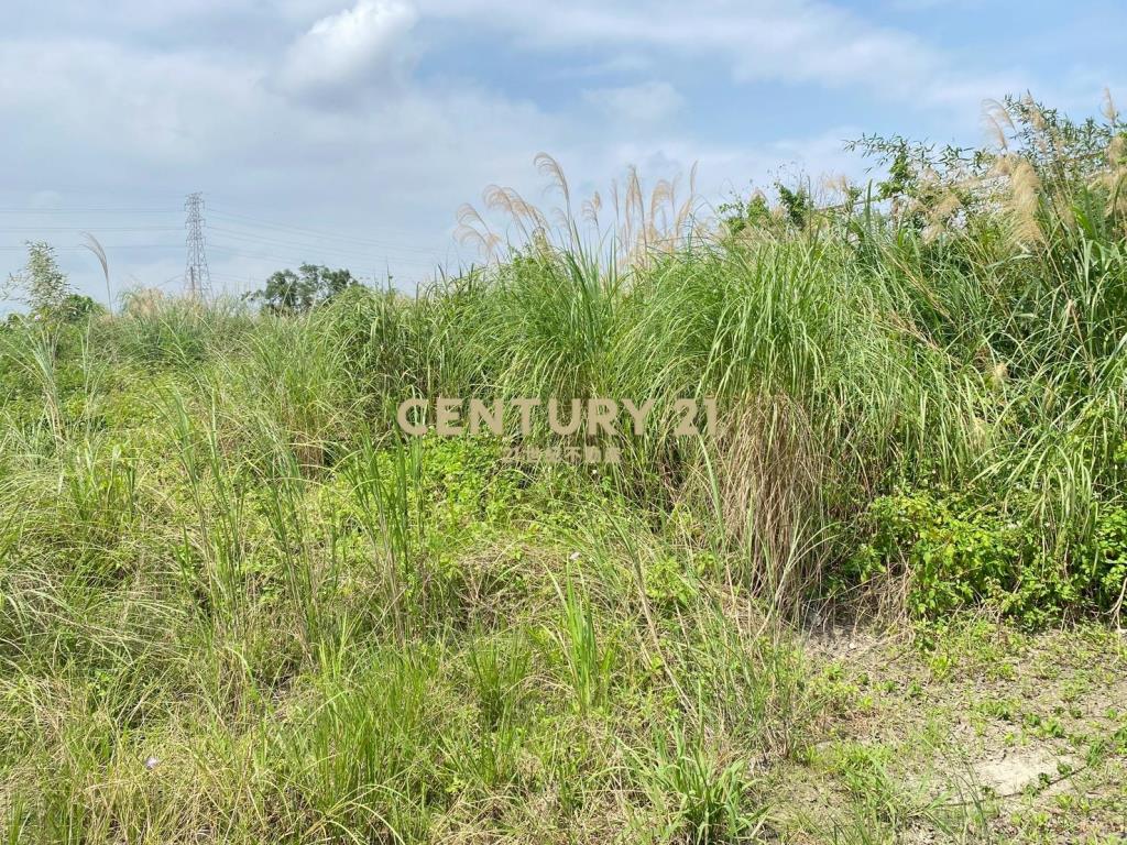 CD165國五超大面寬農建地