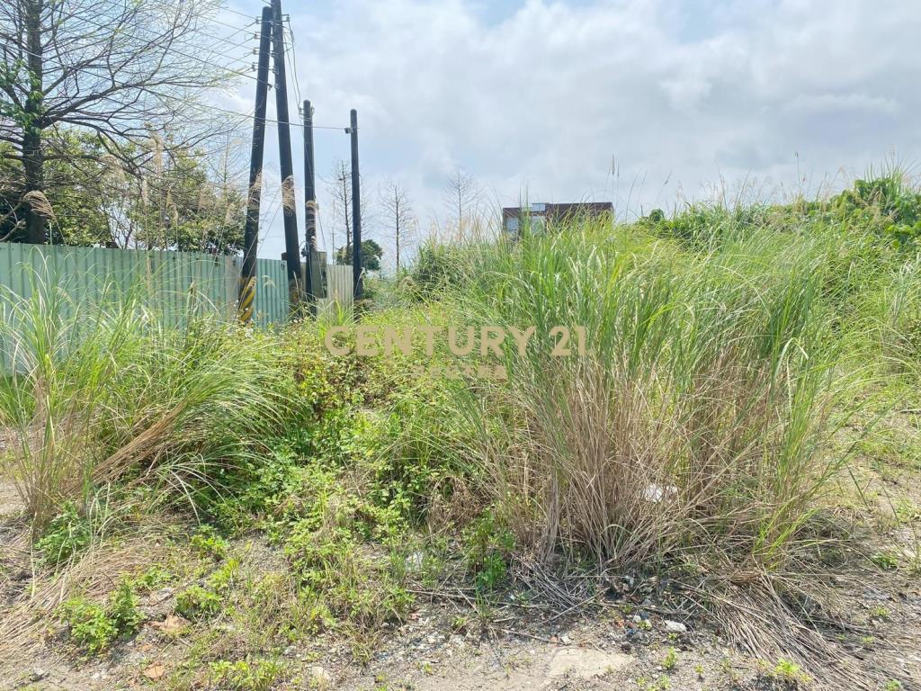 CD165國五超大面寬農建地