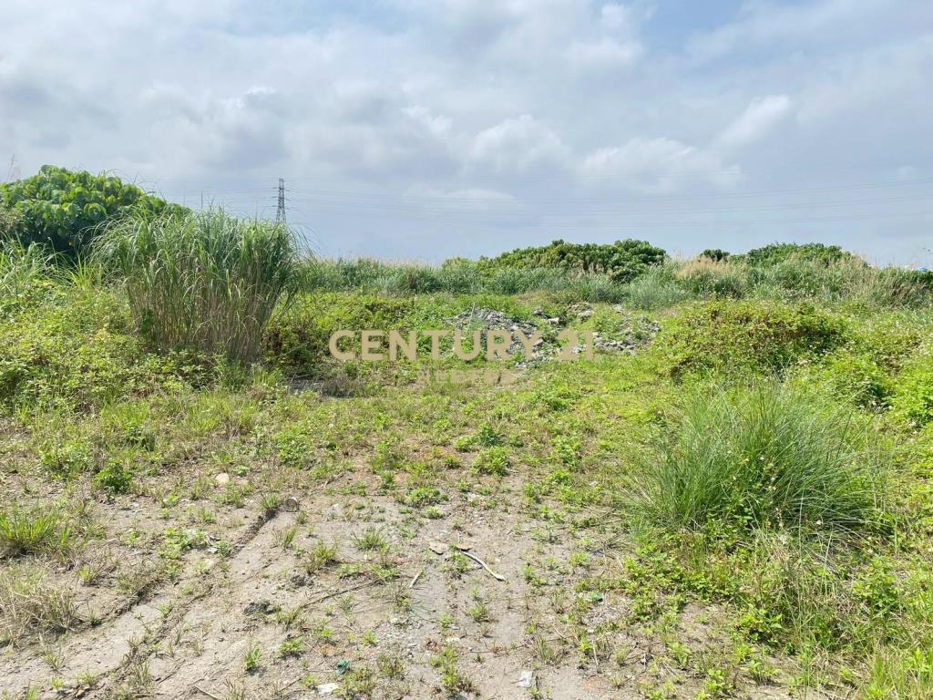 CD165國五超大面寬農建地