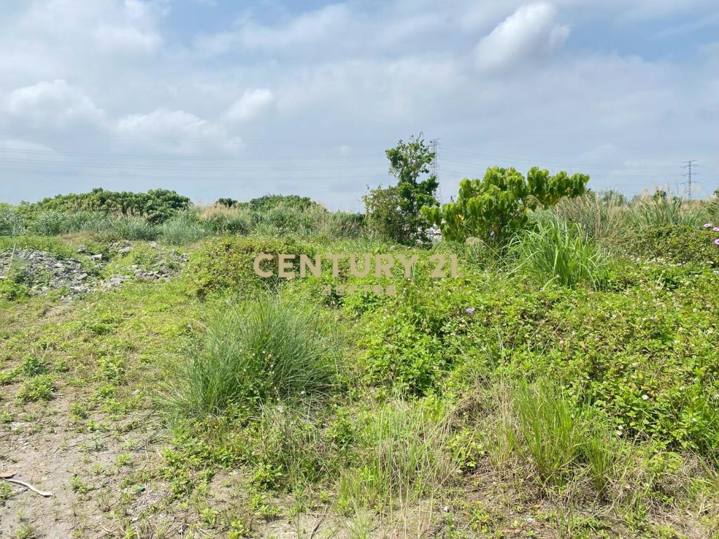 CD165國五超大面寬農建地