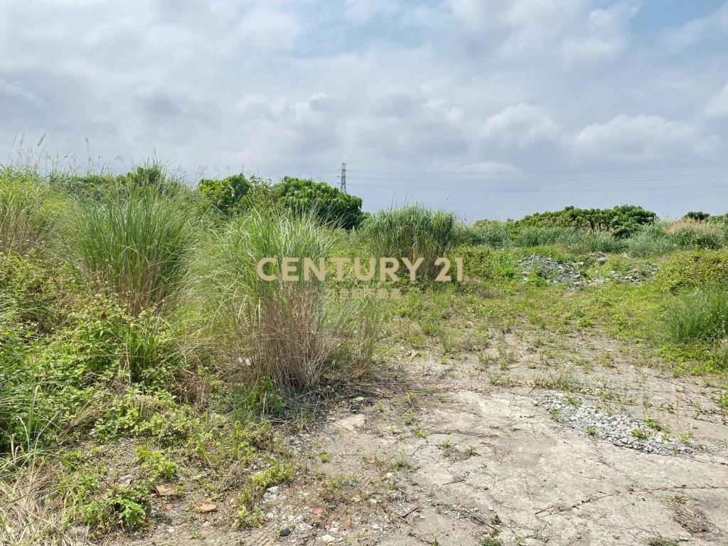 CD165國五超大面寬農建地