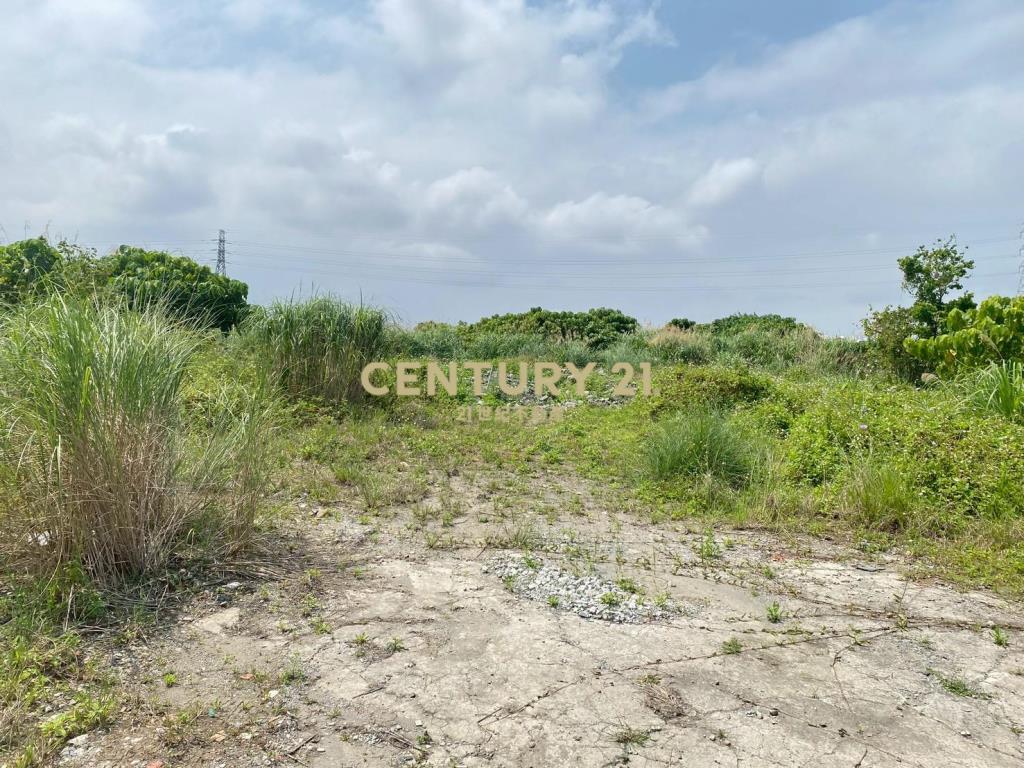 CD165國五超大面寬農建地