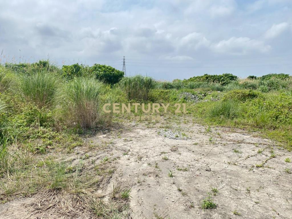 CD165國五超大面寬農建地