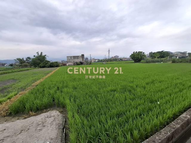 CC594珍珠持分農地