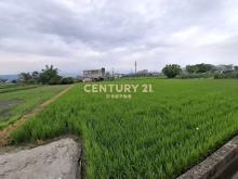 CC594珍珠持分農地