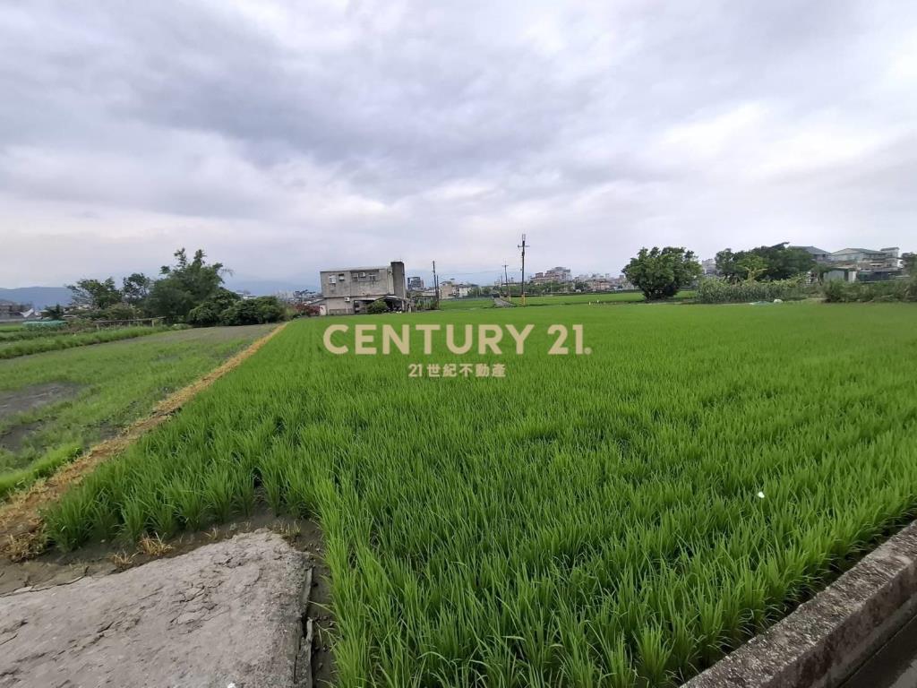 CC594珍珠持分農地