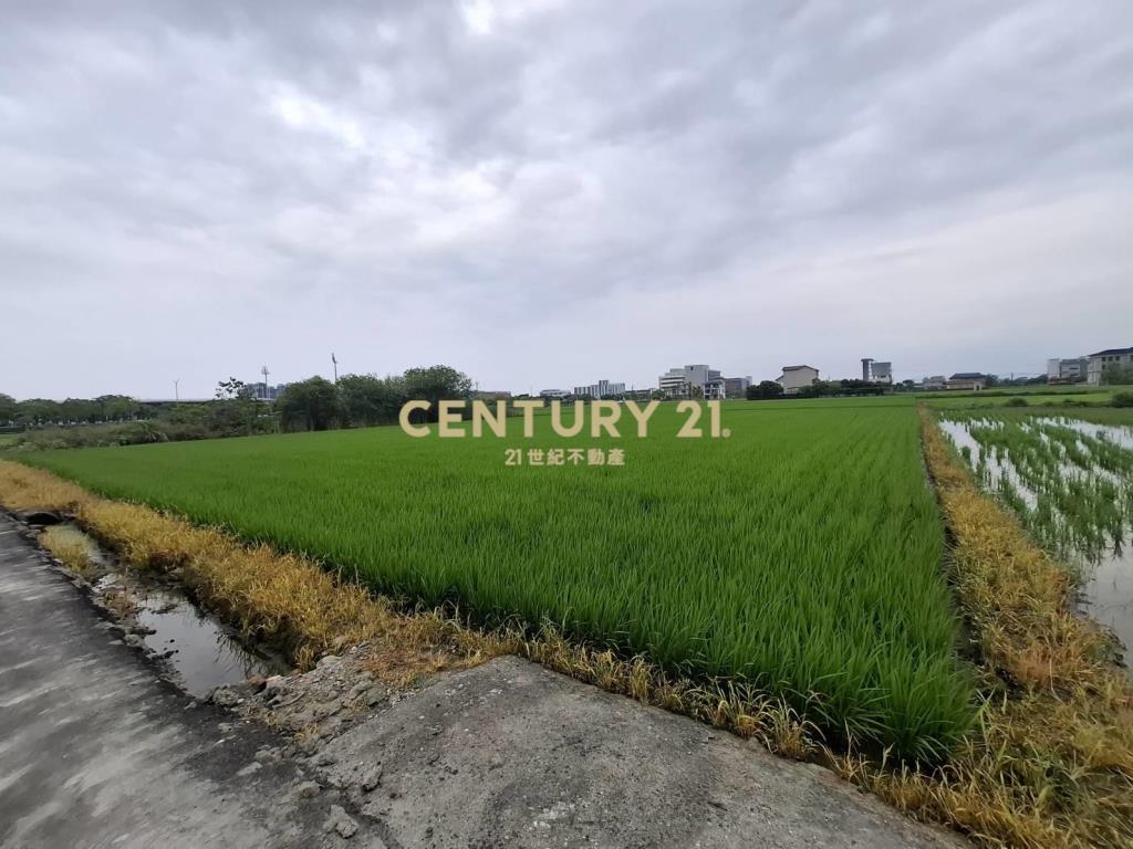 CC594珍珠持分農地