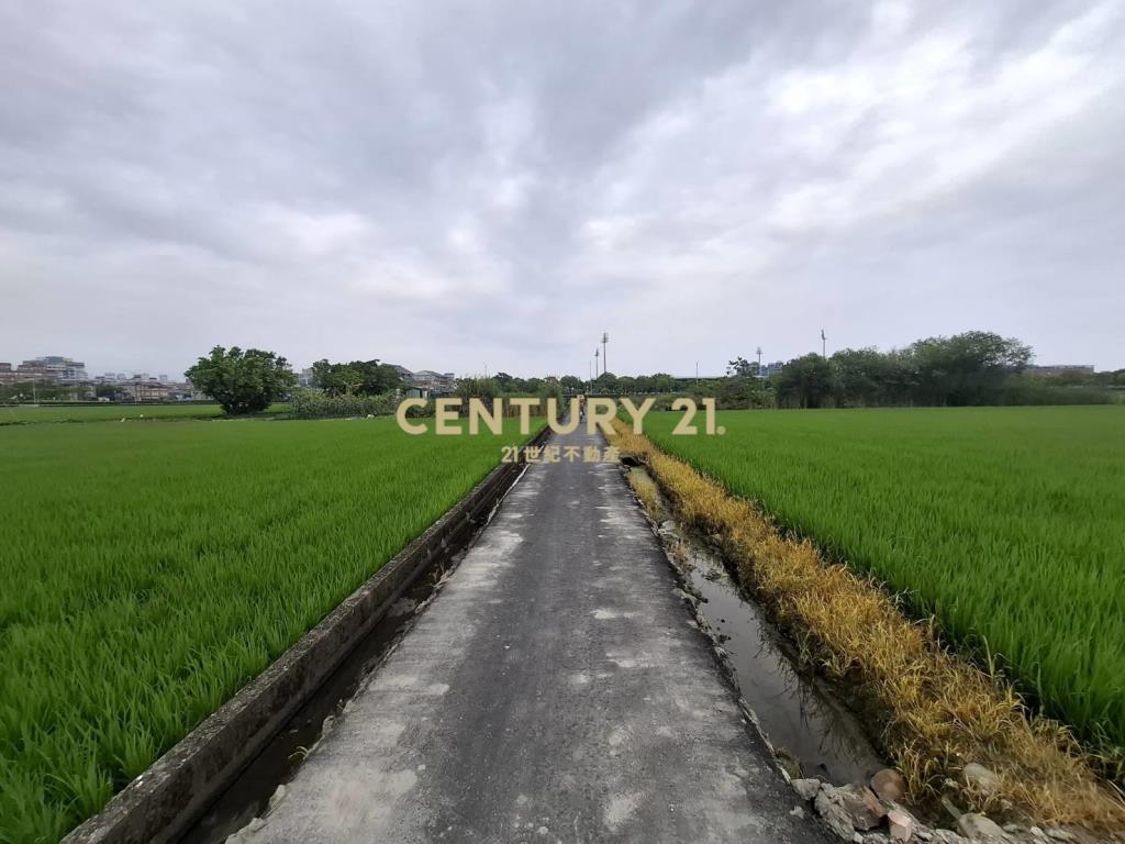 CC594珍珠持分農地