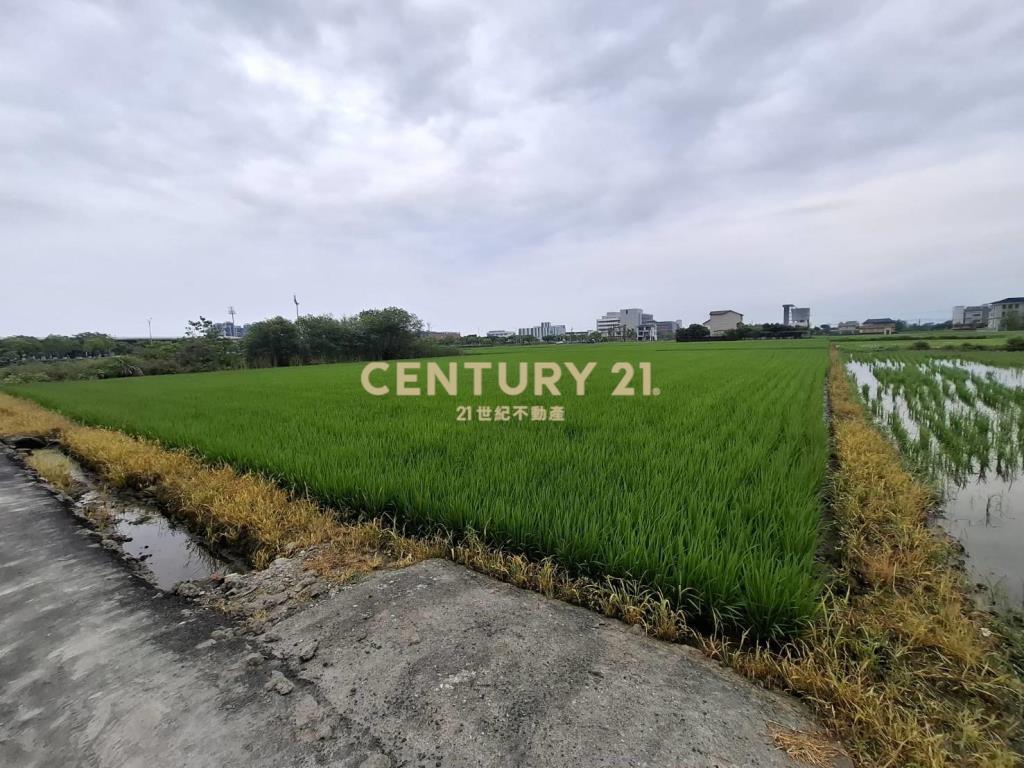 CC594珍珠持分農地