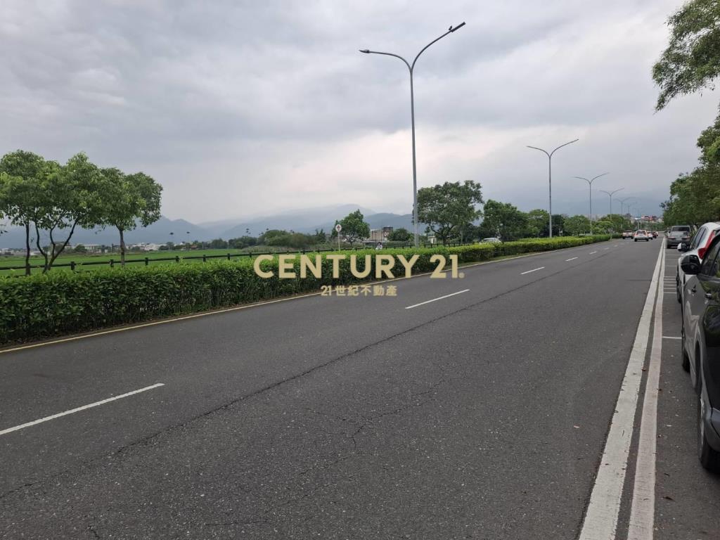 CC594珍珠持分農地