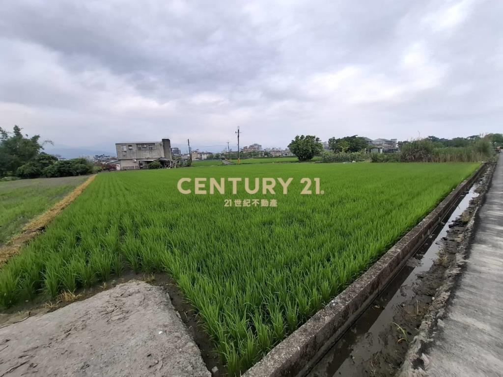 CC594珍珠持分農地