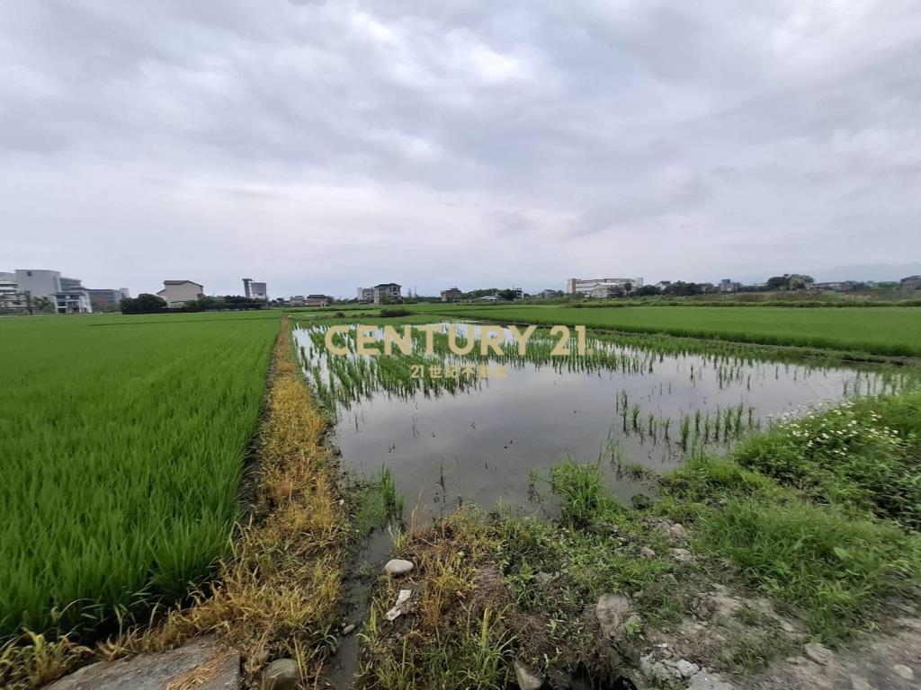 CC594珍珠持分農地