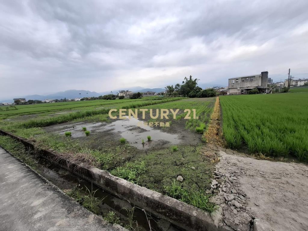 CC594珍珠持分農地