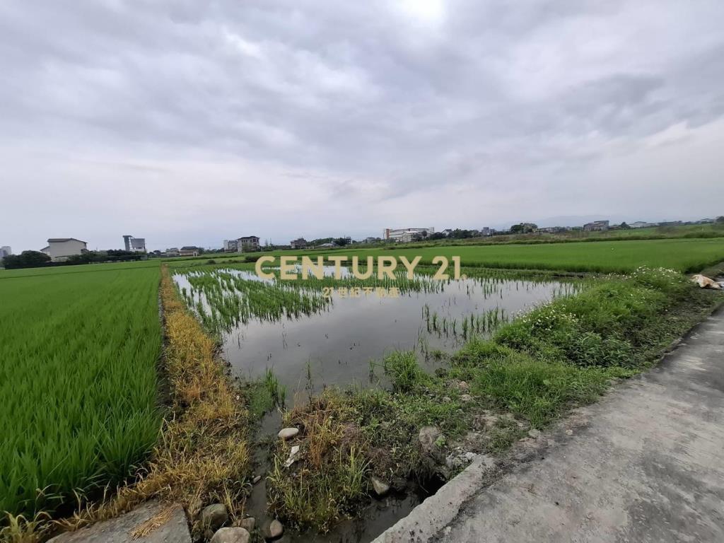 CC594珍珠持分農地