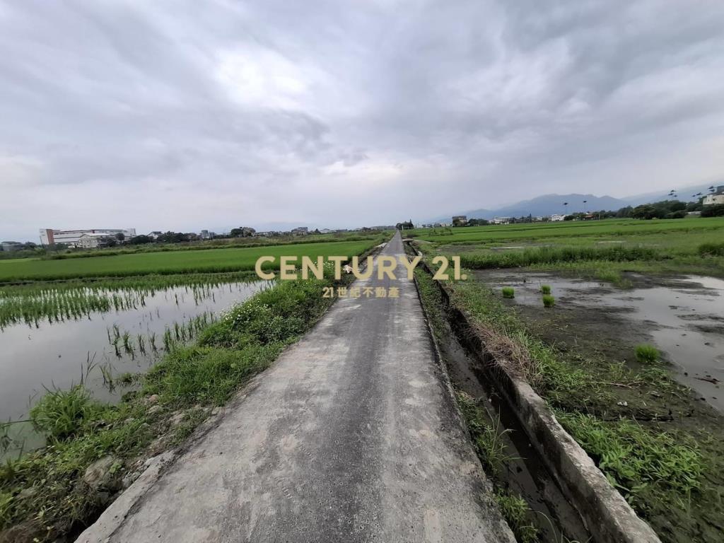 CC594珍珠持分農地