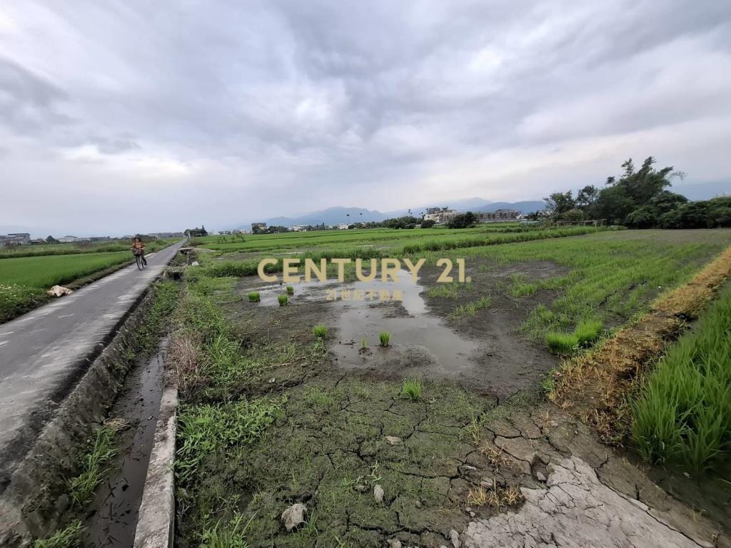 CC594珍珠持分農地