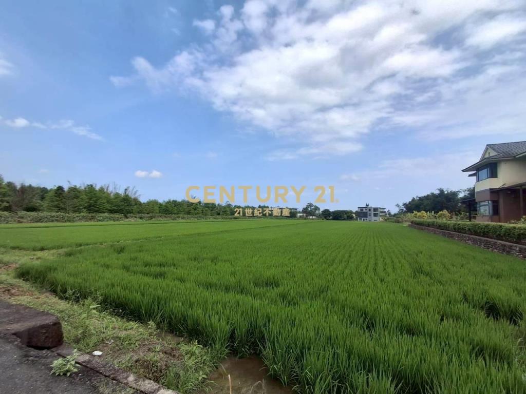 CC595員山湖畔老農農地