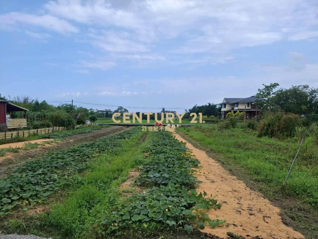 CC595員山湖畔老農農地