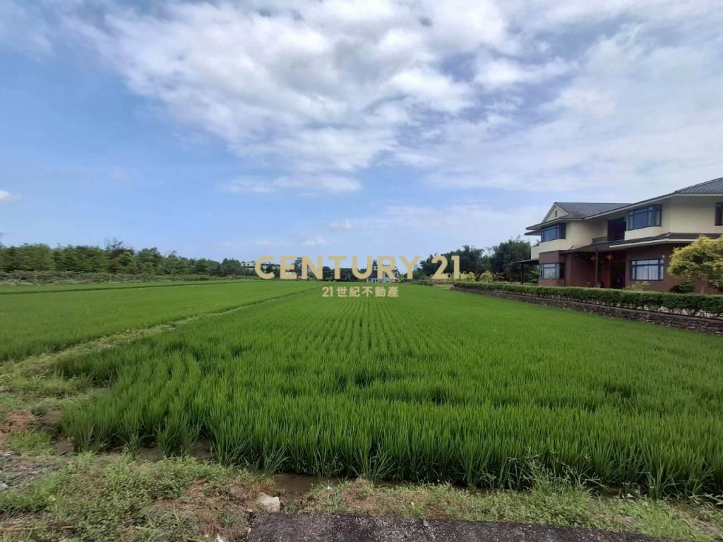 CC595員山湖畔老農農地