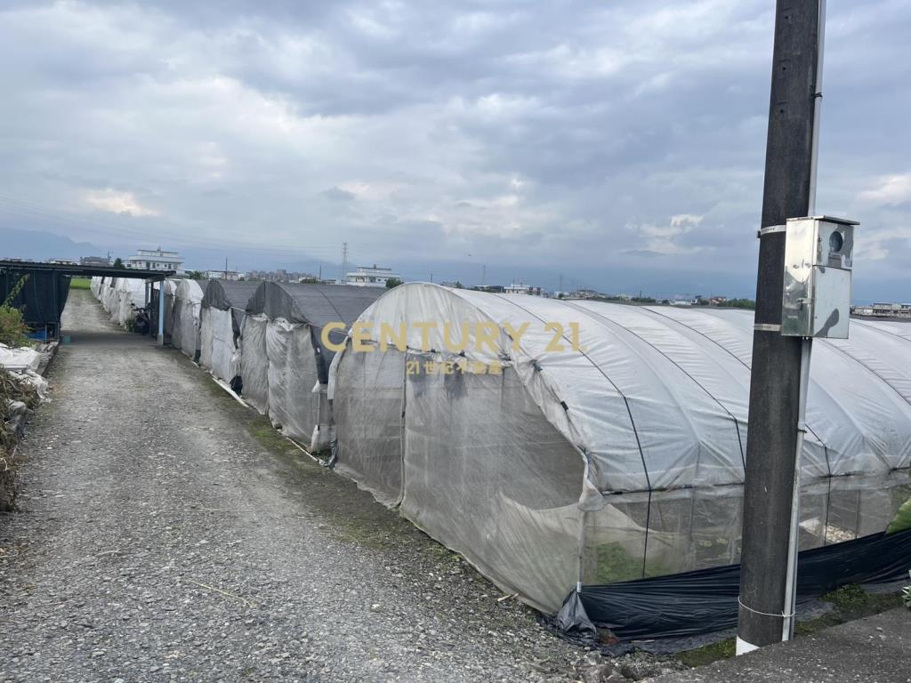 CC596高鐵美農地