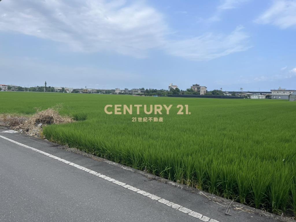 CC596高鐵美農地