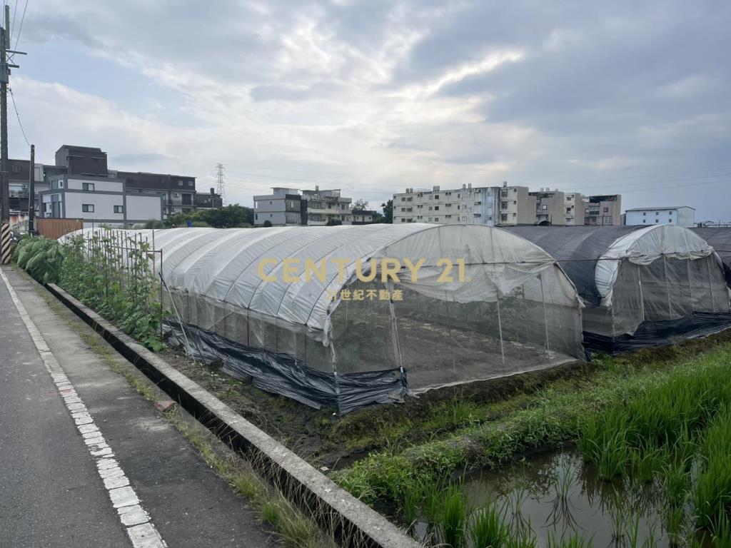 CC596高鐵美農地