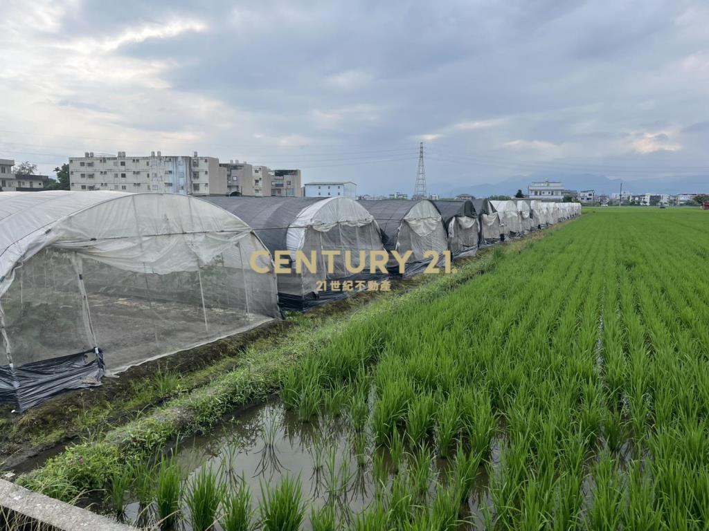 CC596高鐵美農地