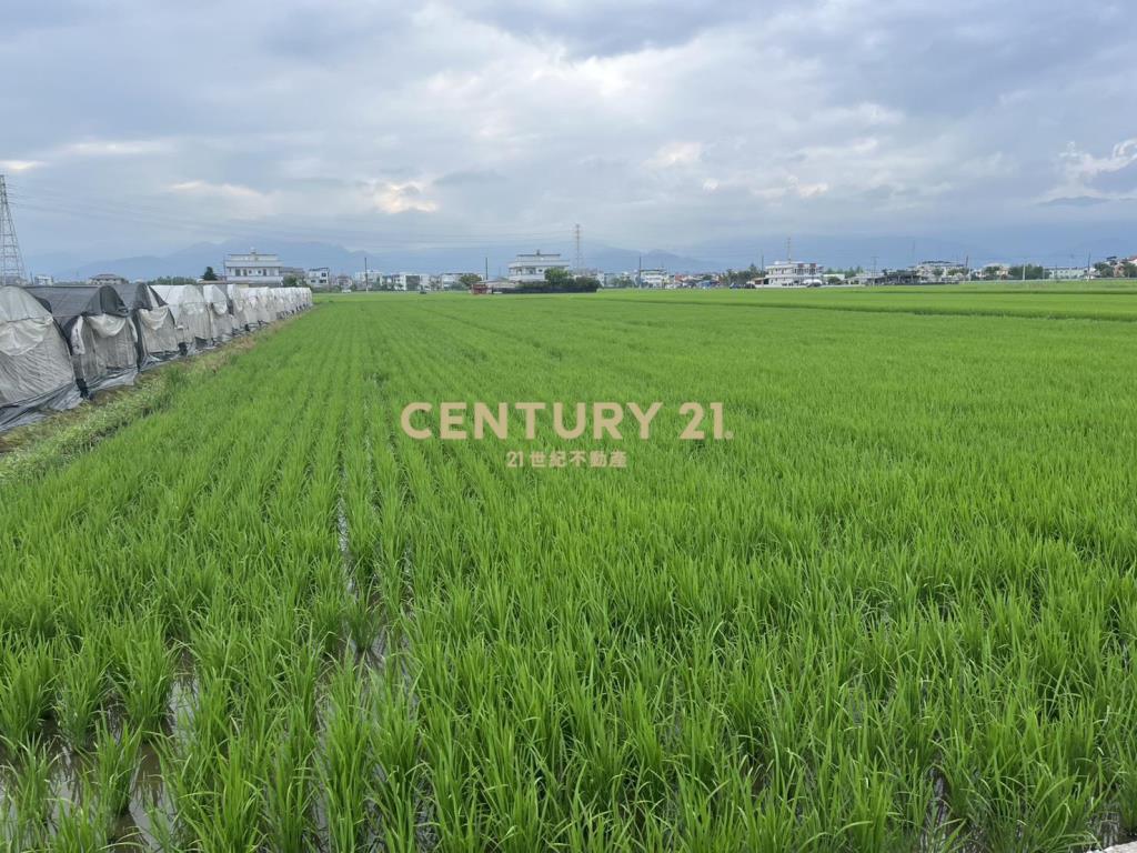 CC596高鐵美農地