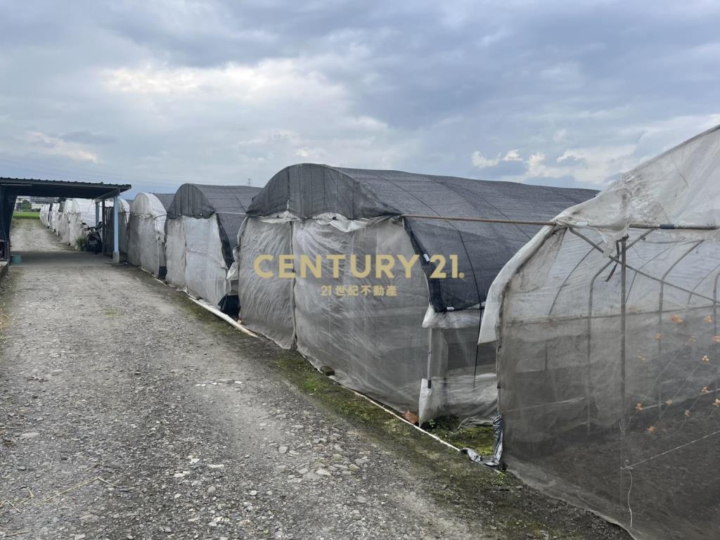 CC596高鐵美農地