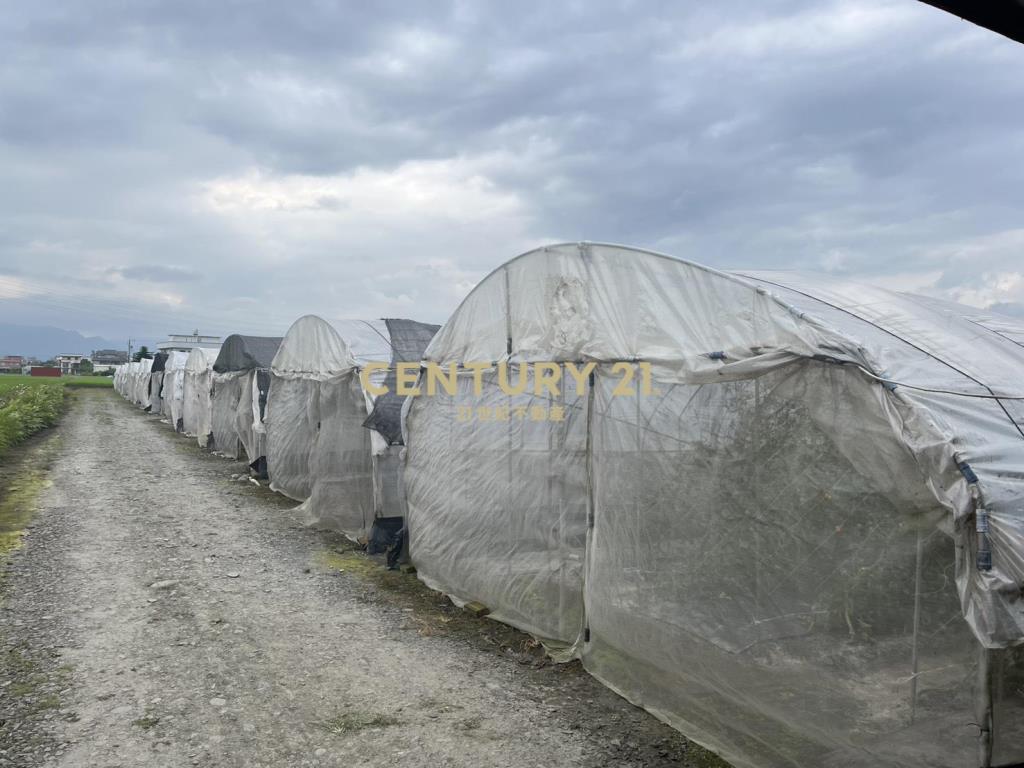 CC596高鐵美農地