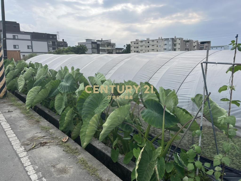 CC596高鐵美農地