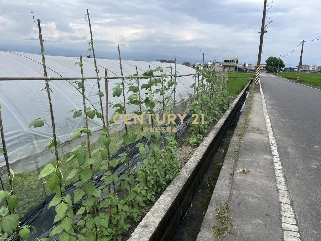 CC596高鐵美農地