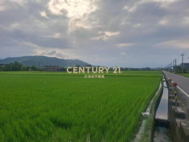 CD166冬山有山有水蓋獨棟美建地