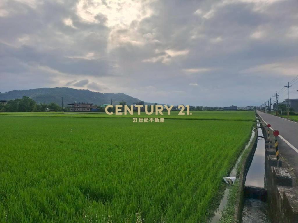 CD166冬山有山有水蓋獨棟美建地